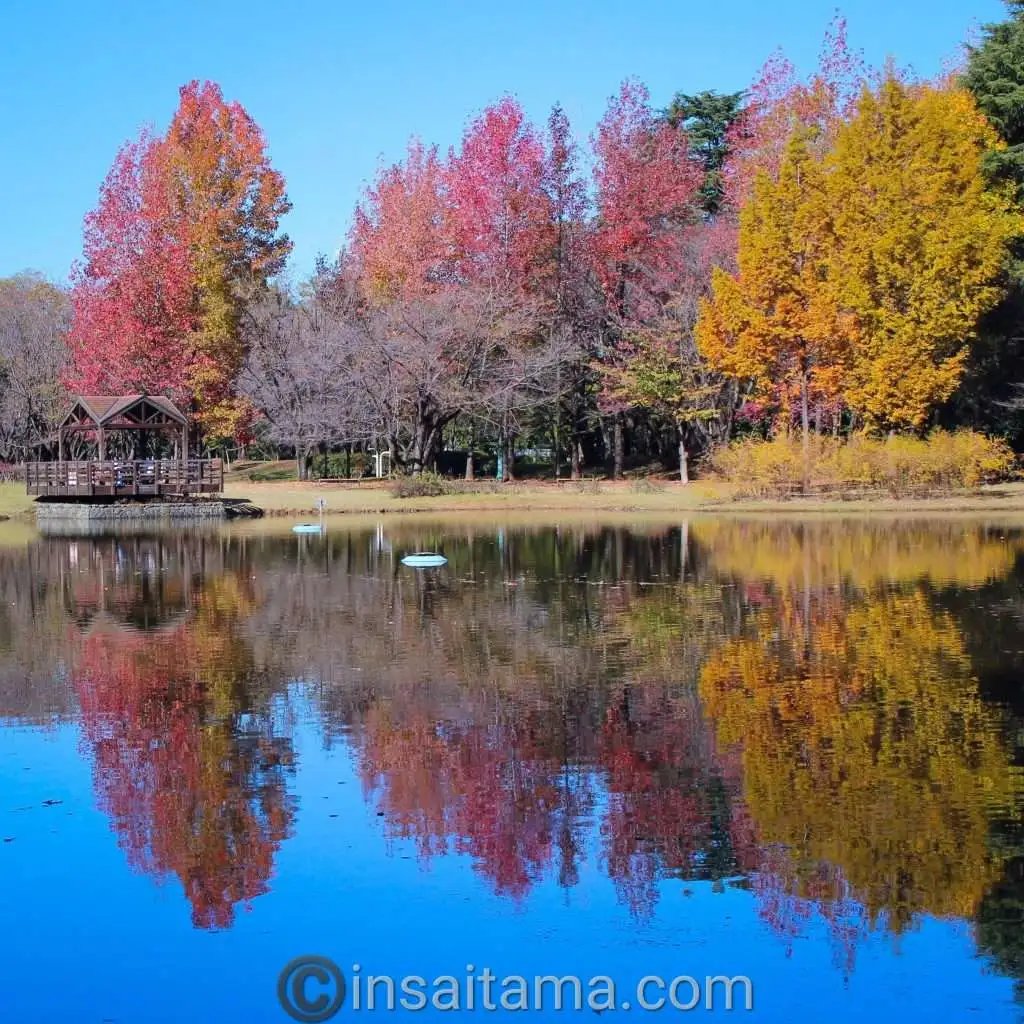 🌳 사이타마 현립 사이노모리 이루마 공원